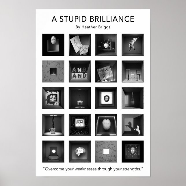 A Stupid Brilliance Poster 13x19 (Front)