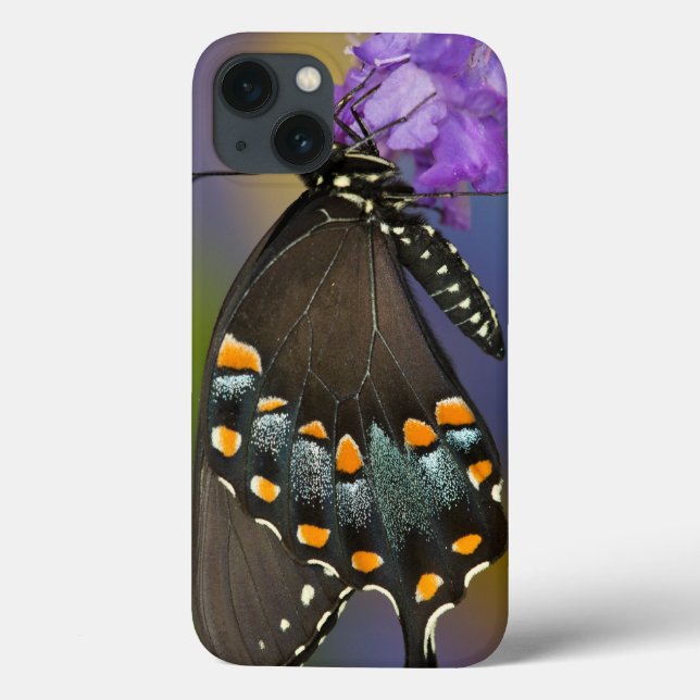 A Sulphur Butterfly Case-Mate iPhone Case (Back)