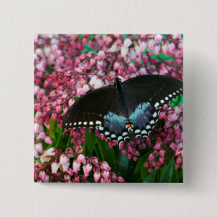 A Sulphur Butterfly In The Phoebis Family 15 Cm Square Badge