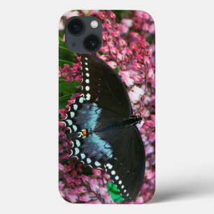 A Sulphur Butterfly   In The Phoebis Family iPhone 13 Case