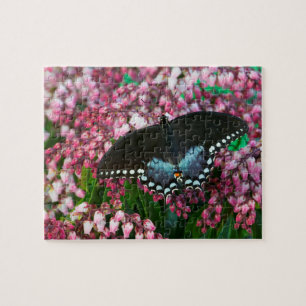 A Sulphur Butterfly In The Phoebis Family Jigsaw Puzzle
