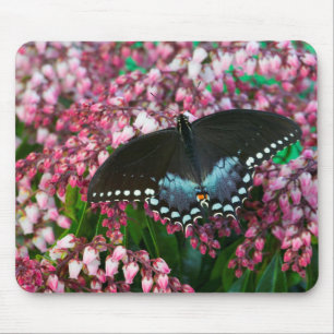 A Sulphur Butterfly   In The Phoebis Family Mouse Pad