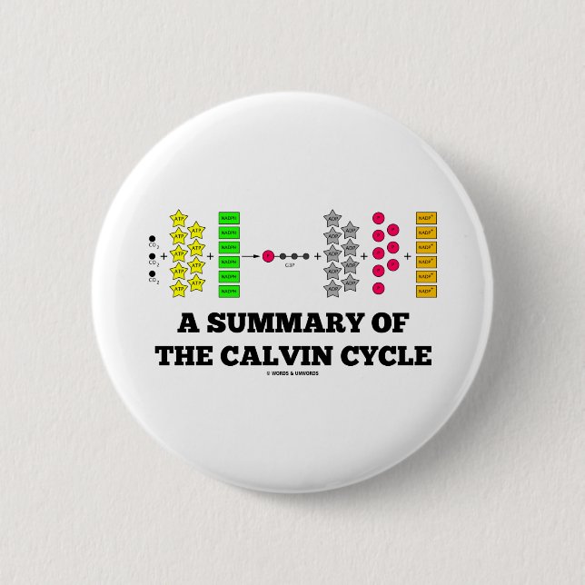 A Summary Of The Calvin Cycle (Photosynthesis) 6 Cm Round Badge (Front)