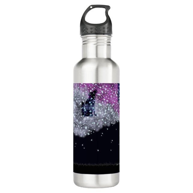 A Summer Night with Sirius  710 Ml Water Bottle (Front)