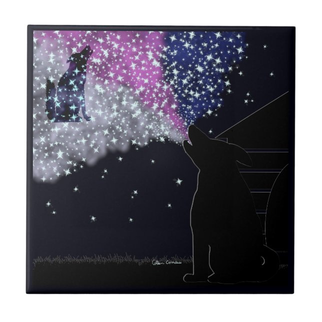 A Summer Night with Sirius Ceramic Tile (Front)