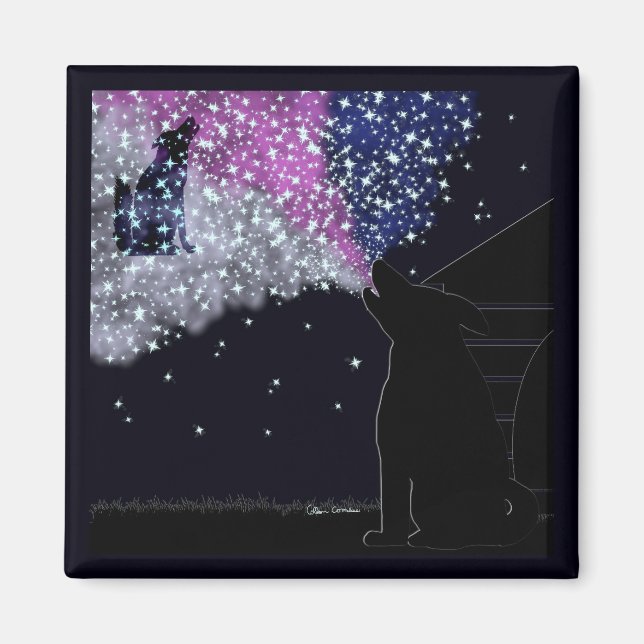 A Summer Night with Sirius Magnet (Front)