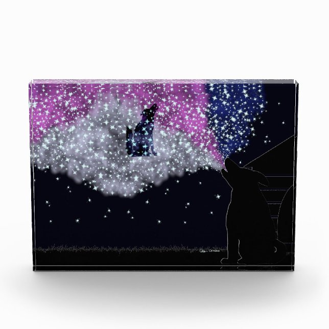 A Summer Night with Sirius  Photo Block (Front)