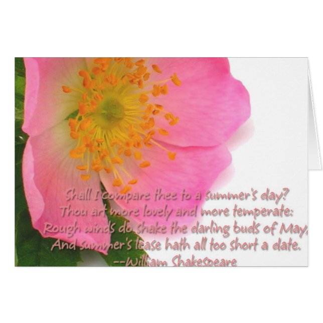 A Summer's Day (Front Horizontal)