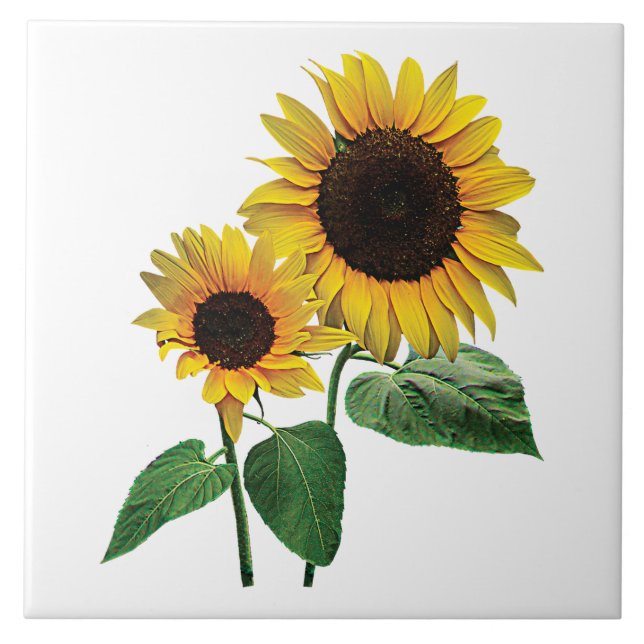 A Sunflower Mummy's Love Tile (Front)