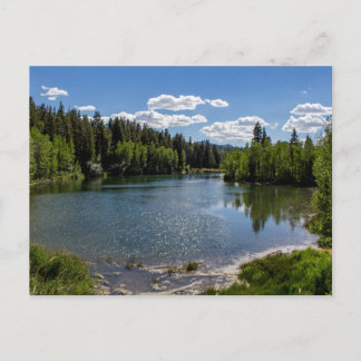 A Sunny Day at McClellan Lake Postcard