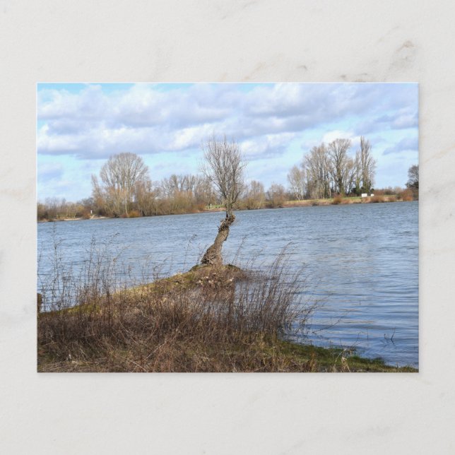 A Sunny Day on the River Postcard (Front)