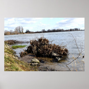A Sunny Day on the River Poster