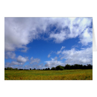 A Sunny Saturday In The Country #1