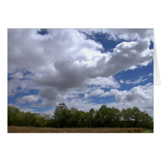 A Sunny Saturday In The Country #21