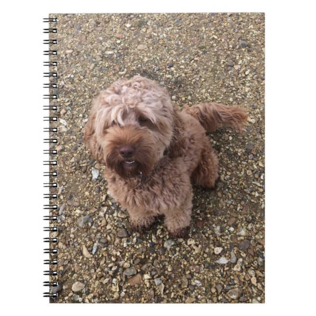 A Super Sweet Cavapoo Notebook (Front)