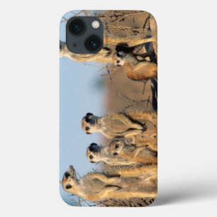 A Suricate family sunning themselves at their den iPhone 13 Case