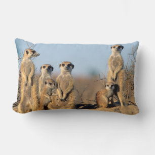 A Suricate family sunning themselves at their den Lumbar Cushion