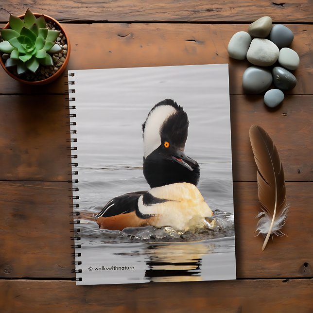 A Surprised Hooded Merganser Notebook (Surprised Hooded Merganser in the Pond Journal Cover Photo)