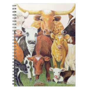 A Surprising Stranger Notebook