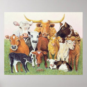 A Surprising Stranger Poster