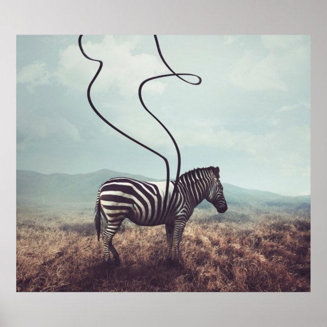 A surreal image of a zebra and two of its black st poster (Front)