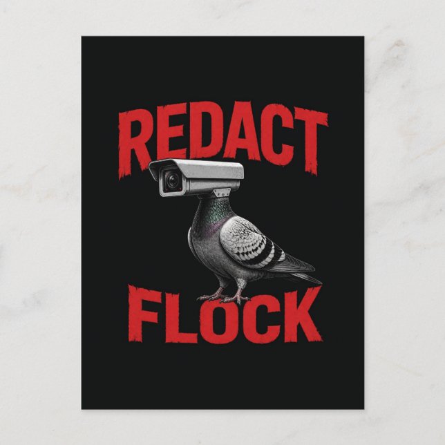 A surreal surveillance camera pigeon redact postcard (Front)