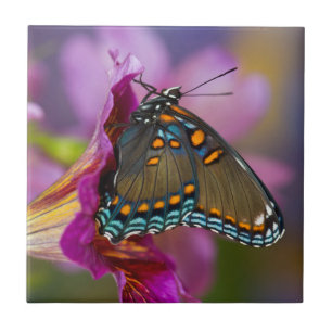 A Swallowtail Butterfly Ceramic Tile