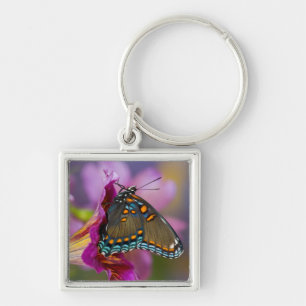A Swallowtail Butterfly Key Ring