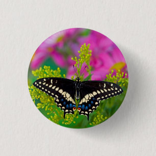 A Swallowtail-Butterfly Landing 3 Cm Round Badge