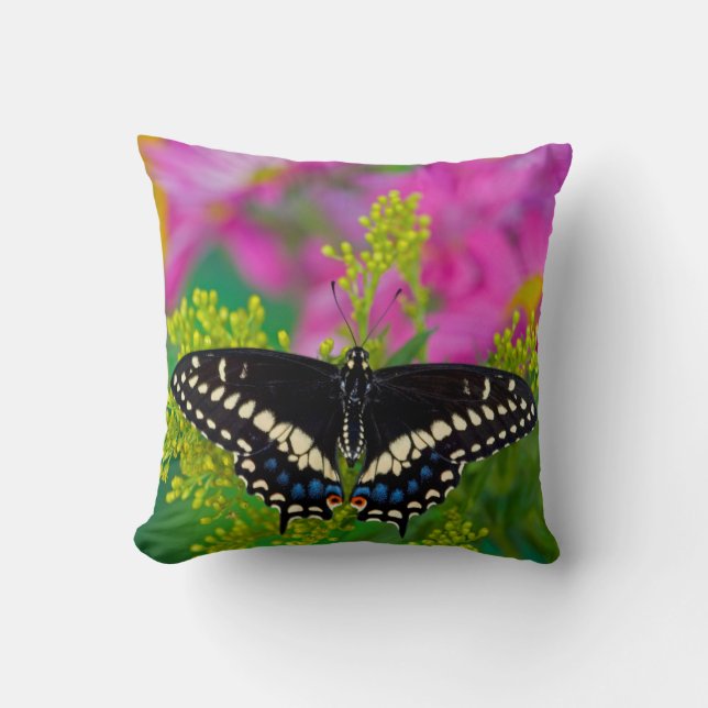 A Swallowtail-Butterfly Landing Cushion (Front)