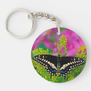 A Swallowtail-Butterfly Landing Key Ring