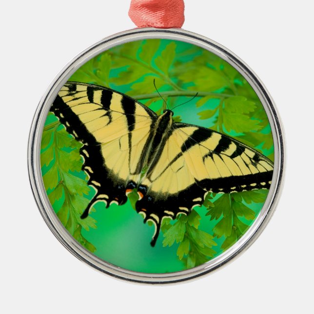 A Swallowtail Butterfly Landing Metal Ornament (Front)