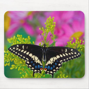 A Swallowtail-Butterfly Landing Mouse Pad