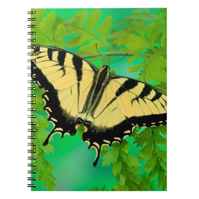 A Swallowtail Butterfly Landing Notebook (Front)