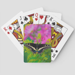 A Swallowtail-Butterfly Landing Playing Cards