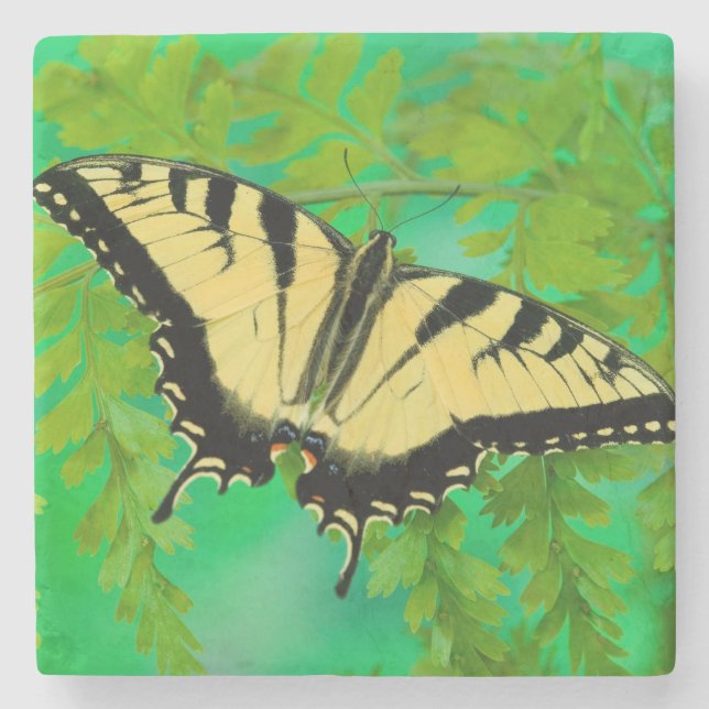 A Swallowtail Butterfly Landing Stone Coaster (Front)