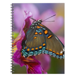 A Swallowtail Butterfly Notebook