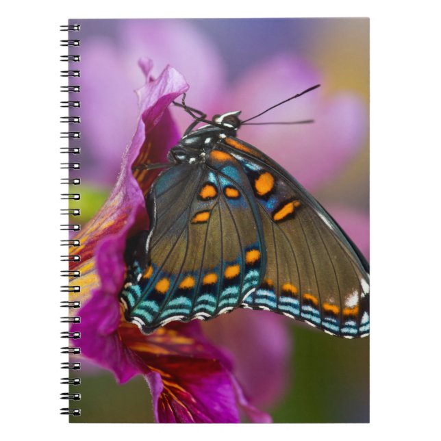 A Swallowtail Butterfly Notebook (Front)