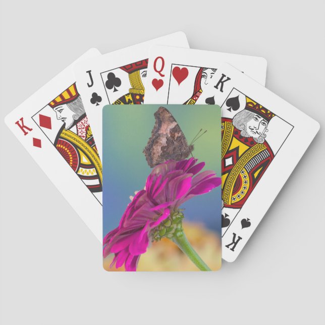 A Swallowtail Butterfly | Papilio Multicaudatus Playing Cards (Back)