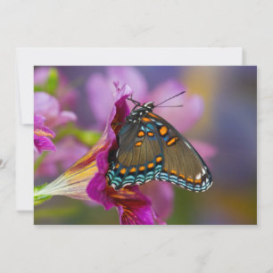 A Swallowtail Butterfly Thank You Card
