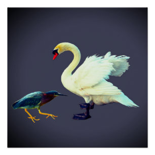 A swan and a blue heron poster