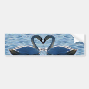 A Swan Heart Kiss, Reflections of Love Bumper Sticker