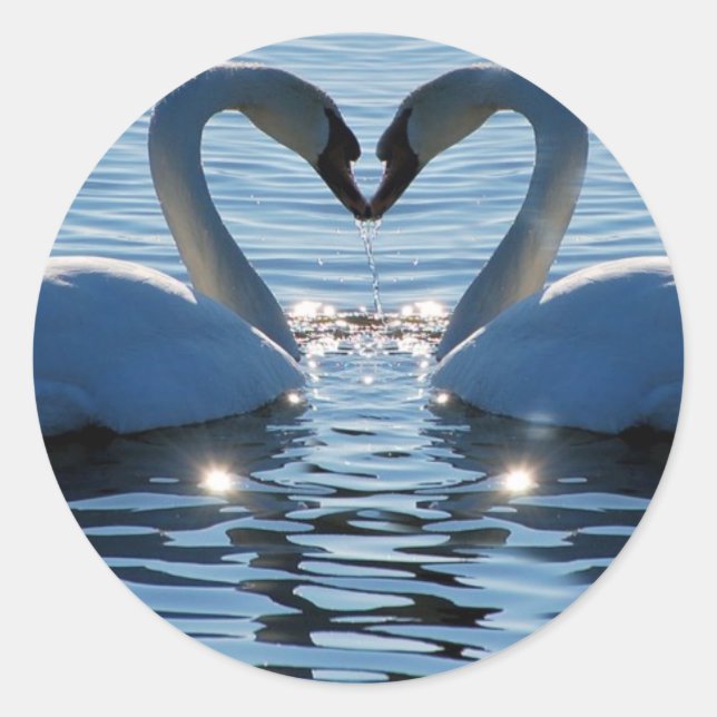 A Swan Heart Kiss, Reflections of Love Classic Round Sticker (Front)