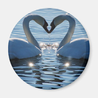 A Swan Heart Kiss, Reflections of Love Magnet