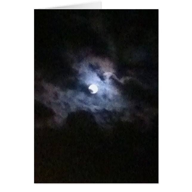 A Swan In The Full Moon (Front)