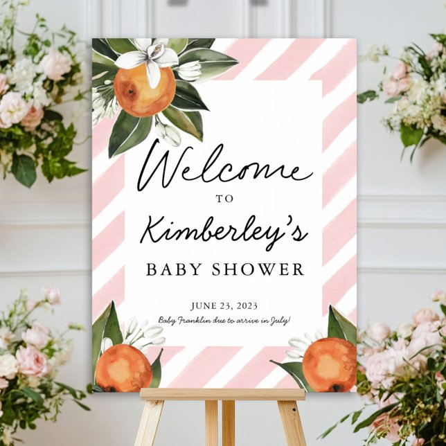 A Sweet Baby Girl On the Way Clementine Welcome Poster (Creator Uploaded)