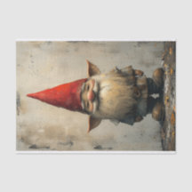 A Sweet Little Gnome in a Distressed Style