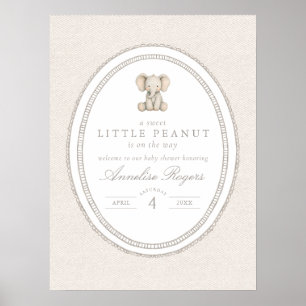 A Sweet Little Peanut Gender Neutral Baby Shower Poster