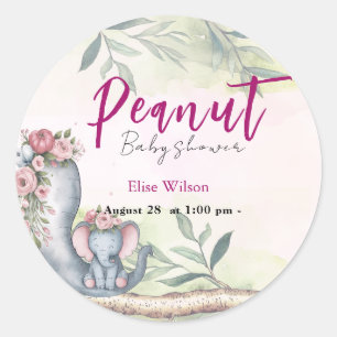 A sweet little peanut is on the way classic round sticker