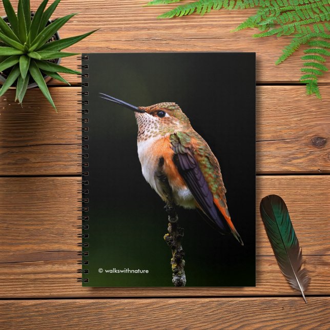 A Sweet Rufous Hummingbird Poses on the Fruit Tree Notebook (Rufous Hummingbird Poses on the Hybrid Fruit Tree Journal Cover Photo 1)